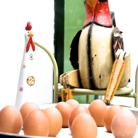 Hotel Zur Steirerstub'n Graz